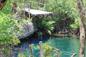 Planning a trip to Tulum to see cenotes