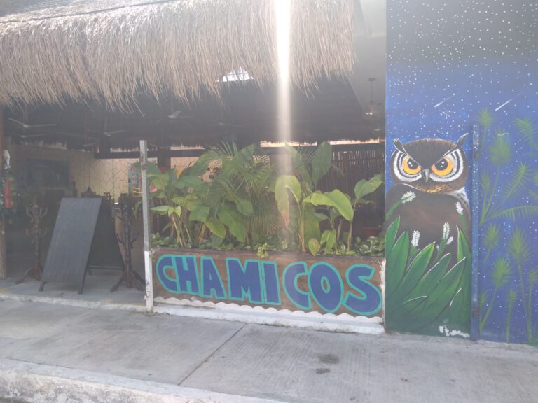 20210314 120125 1 768x576