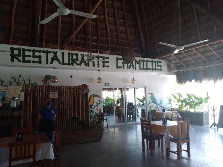 20210314 120206 768x576