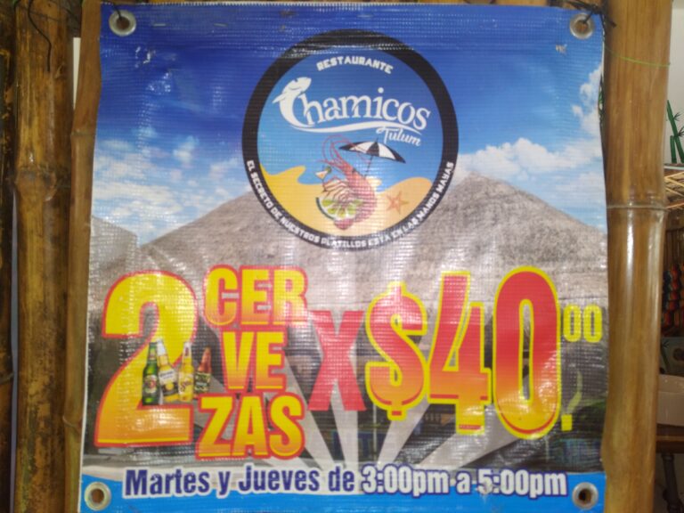 20210314 120228 1 768x576