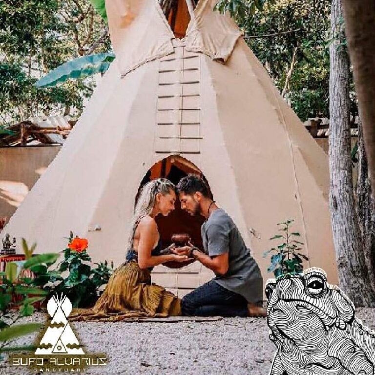 WhatsApp Image 2022 02 11 at 1.38.32 PM 1 768x768