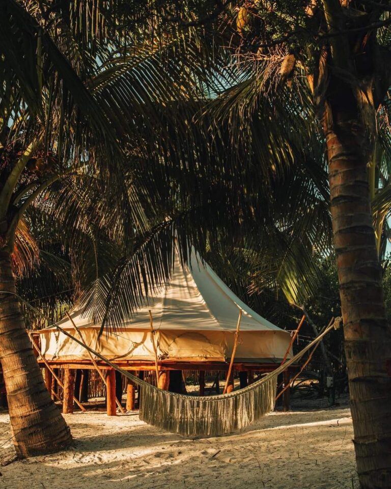 WhatsApp Image 2022 02 17 at 1.33.09 PM 1 768x960