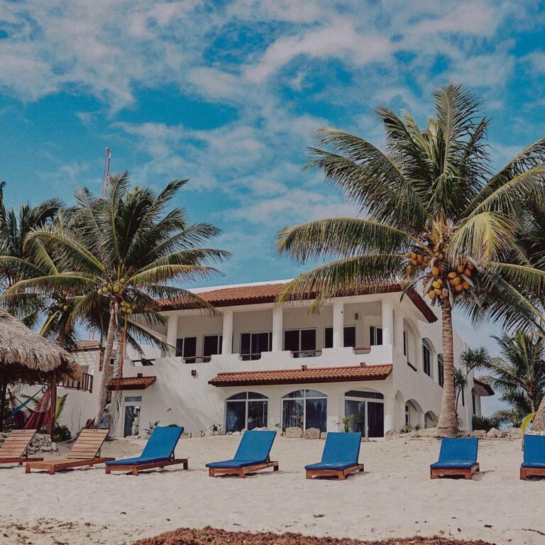 WhatsApp Image 2022 02 21 at 12.49.05 PM 2 768x768