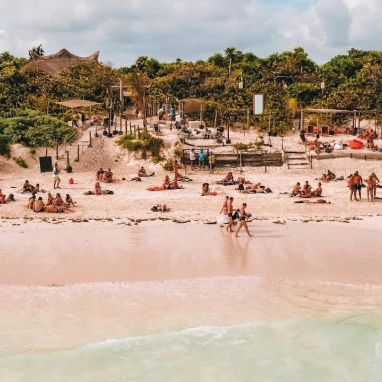 WhatsApp Image 2022 03 01 at 4.51.18 PM 1 1 768x767