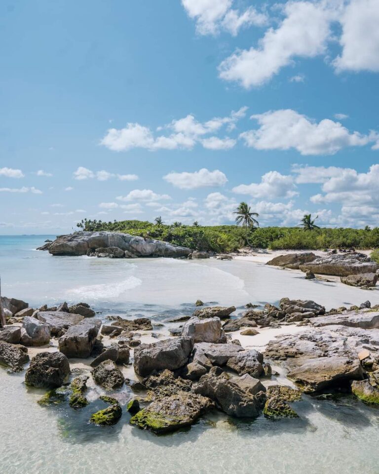 WhatsApp Image 2022 03 01 at 5.22.07 PM 768x960