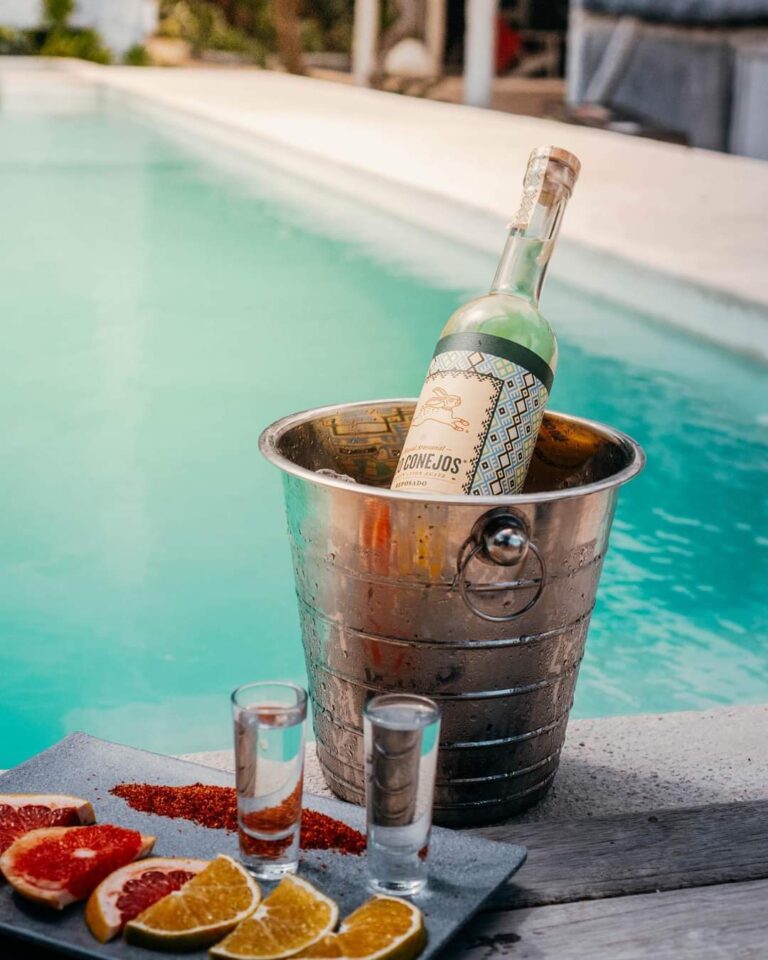 WhatsApp Image 2022 03 01 at 5.31.27 PM 1 1 768x960