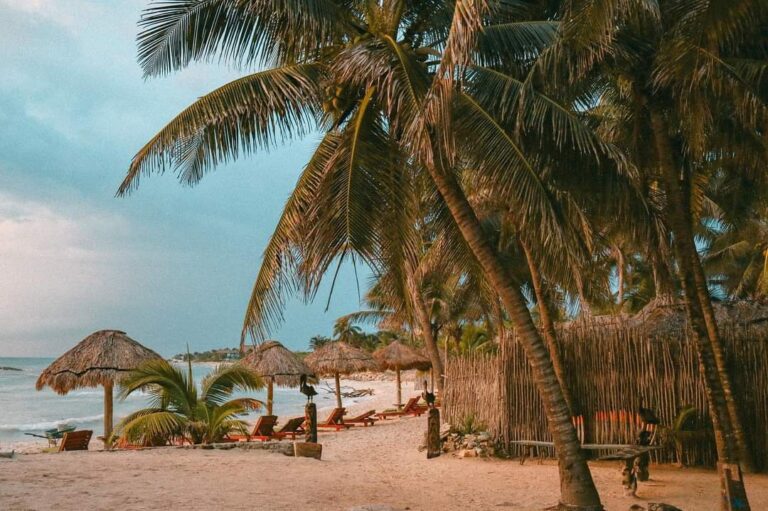 WhatsApp Image 2022 03 12 at 5.20.20 PM 1 768x511