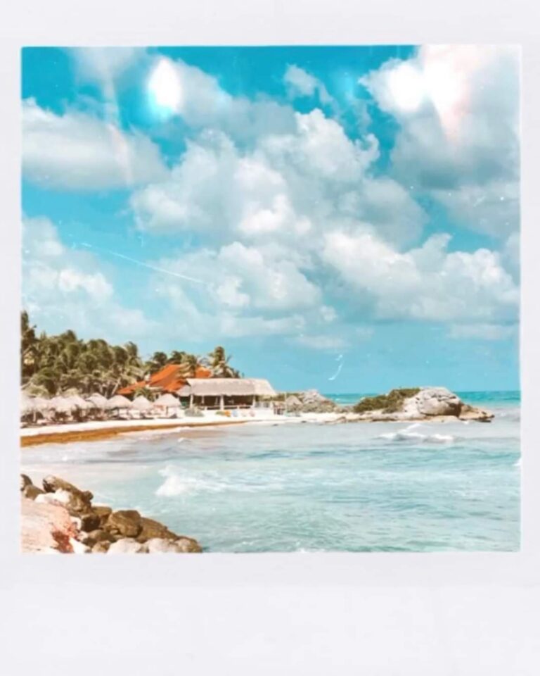 WhatsApp Image 2022 03 12 at 5.20.20 PM 3 768x960