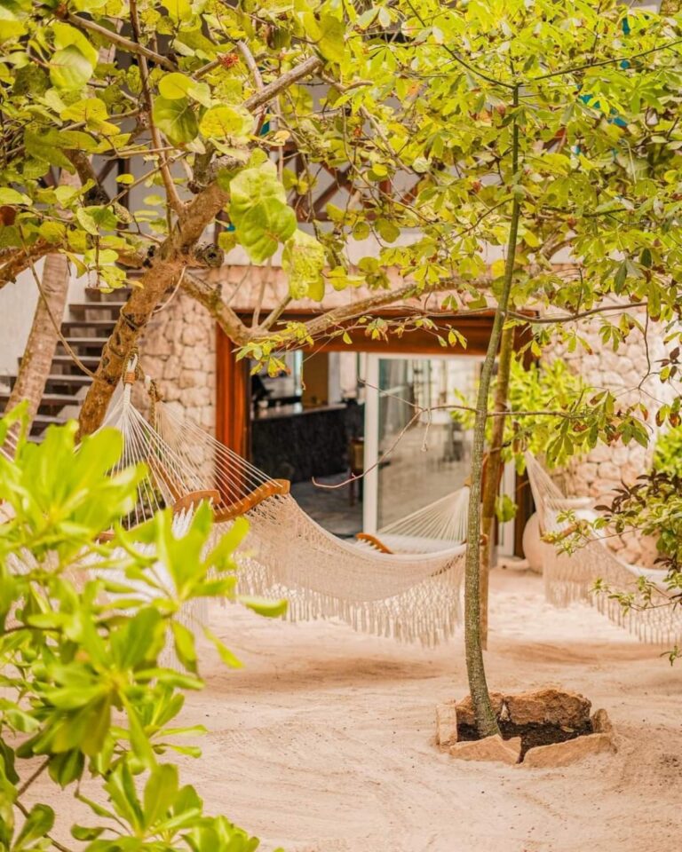 WhatsApp Image 2022 03 14 at 8.21.47 AM 2 768x960