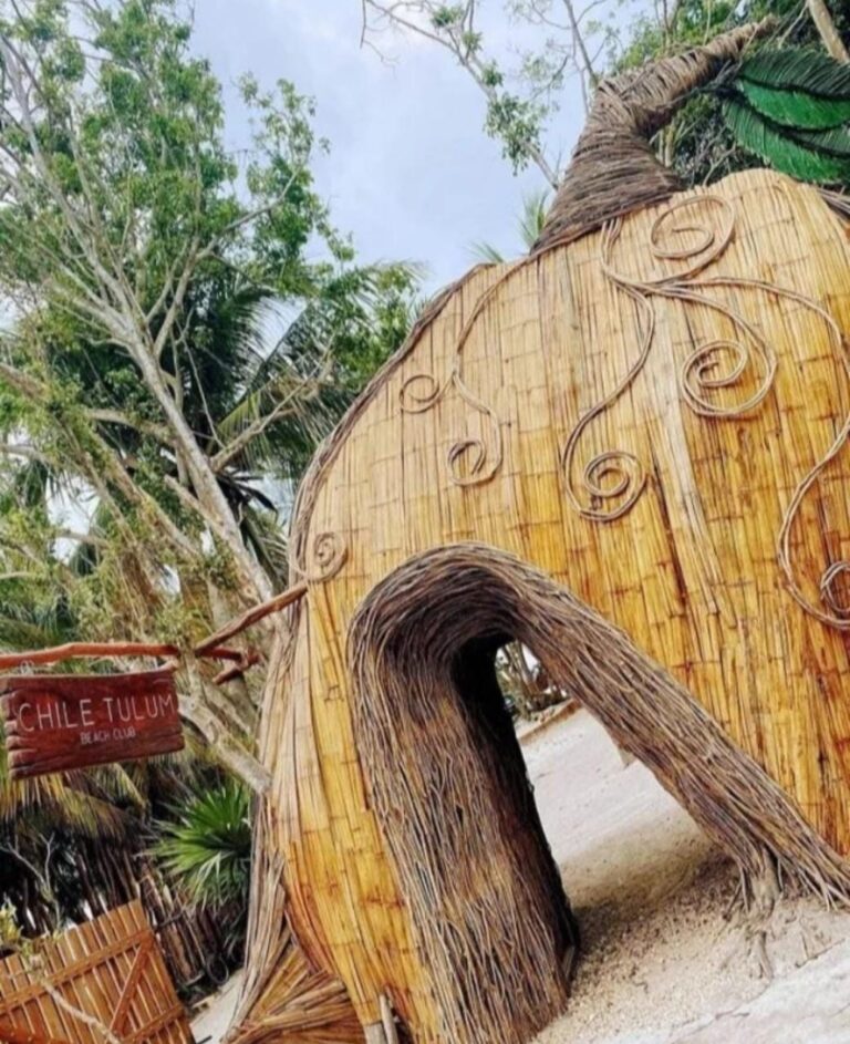 WhatsApp Image 2022 03 17 at 11.13.55 AM 1 768x943