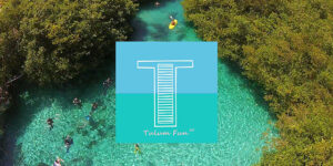 Plan a group trip to Tulum, Mexico Kayaking- Planning a trip to Tulum